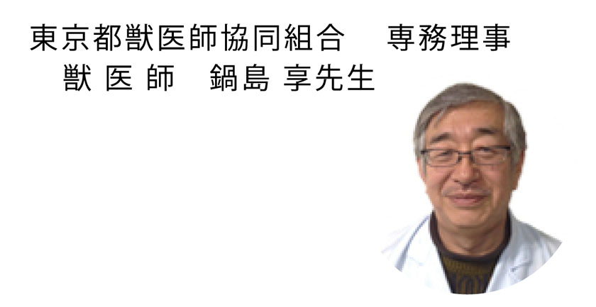 東京都獣医師協同組合　専務理事　獣医師　鍋島享先生