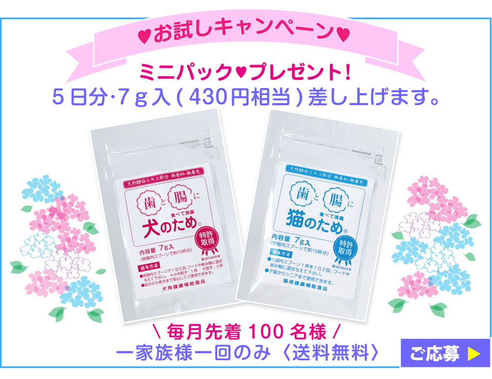 試供品プレゼントキャンペーン
