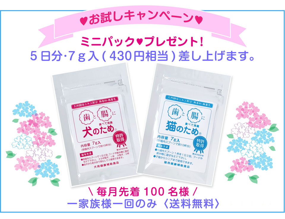 試供品プレゼントキャンペーン