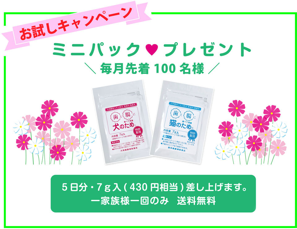 試供品プレゼントキャンペーン
